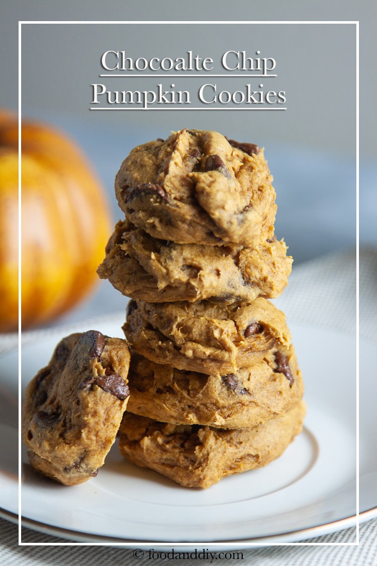 Easy Chocolate Chip Pumpkin Cookies