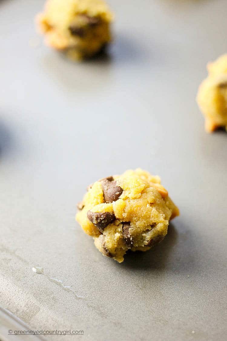 Butterscotch Chip & Chocolate Chip Cookies