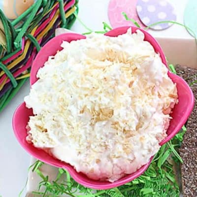 Get a taste of the tropics with this delicious Coconut Cream Dip that is perfect for graham crackers or fruit!