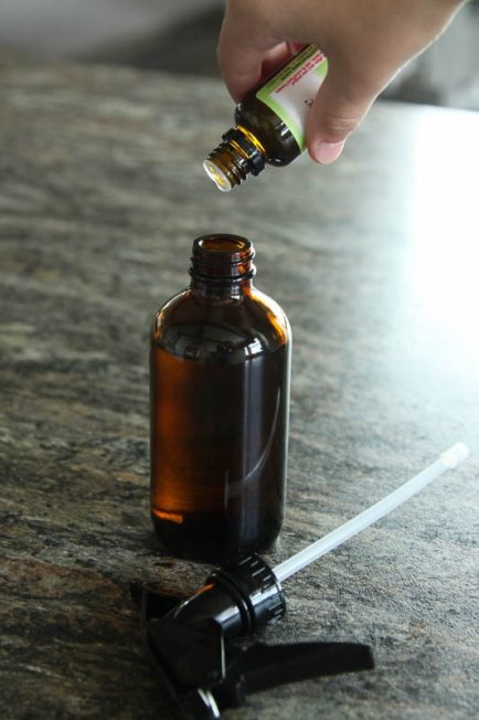Summertime means time in the great outdoors... it also means bugs, bugs everywhere. EWW. This DIY Bug Repellent Spray will keep the bugs away and is safe for the whole family.