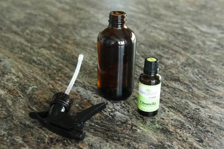 Summertime means time in the great outdoors... it also means bugs, bugs everywhere. EWW. This DIY Bug Repellent Spray will keep the bugs away and is safe for the whole family.