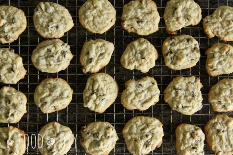 Classic Chocolate Chip Cookies. There is nothing extra special about these babies. They are special all by themselves. The classic recipe doesn't really need any improvement. They are just the right thickness, chewiness, and deliciousness.